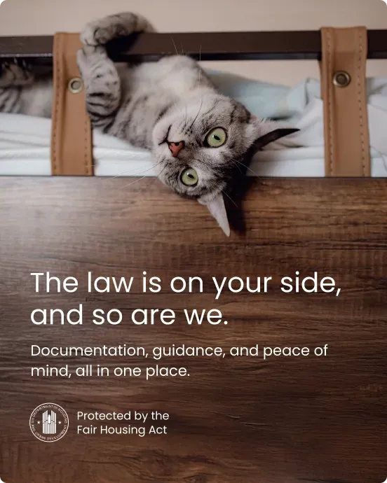 The law is on your side — cat with Fair Housing Act protection messaging